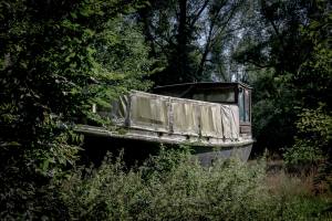 Lippwiesen